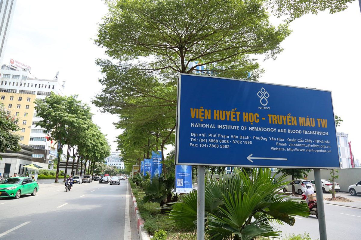 duong di hien mau 1