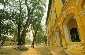 images 11