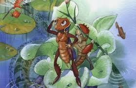 images 20